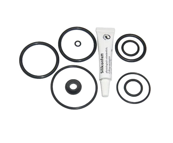 Krups EA 68 69 80 81 82 90 Rowenta ES 68 ES 69 Dichtung  O-Ring EPDM Thermoblock Druckzylinder Formdichtung für Stößel Fett 6g