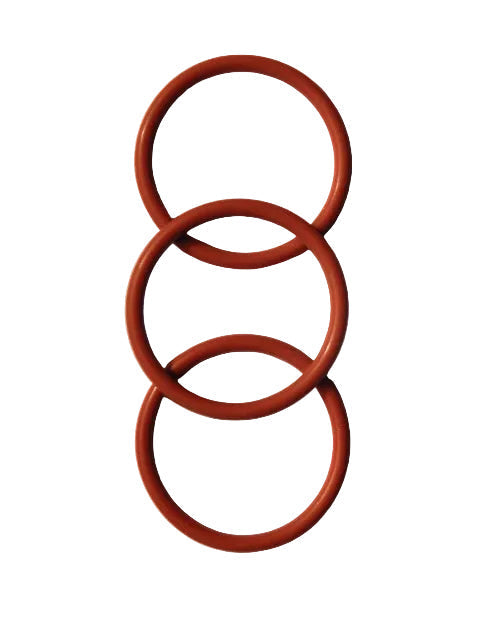 DeLonghi ECAM EAM ESAM AEG Privileg 3x O-Ring für Brüheinheit/ Brühkolben
